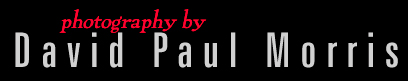 David Paul Morris - Editorial & Portrait Photographer - San Francisco and Hong Kong, China | USA + 1 415 637 3455 | Hong Kong + 852 9446 9313
