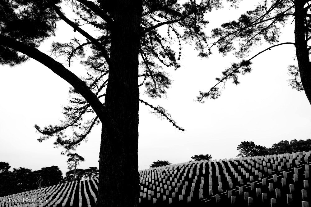 20090523DPM003_memorial.jpg Gravesites line the hillsides at the San Francisco National Cemetery.