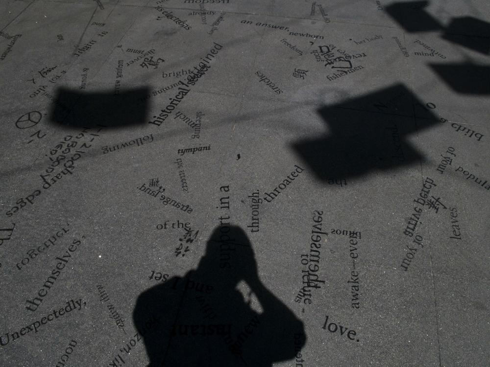 Shadows on the ground in Chinatown, San Francisco.